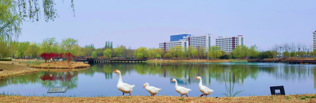 Beijing Institute of Technology