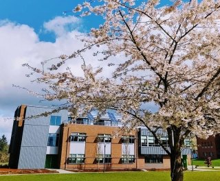 Saint Martin’s University