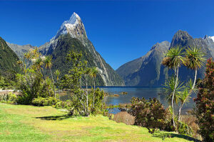 New Zealand